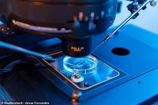 Ein kalifornisches Startup entwickelt Technologien rund um die In-vitro-Gametogenese, einen Prozess, bei dem in einem Labor menschliche Eier und Spermien aus jeder Zelle im Körper einer Person hergestellt werden.  Dies könnte es unfruchtbaren, gleichgeschlechtlichen und Transgender-Paaren ermöglichen, eigene leibliche Kinder zu bekommen