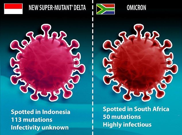 A new version of the Covid Delta variant collected in Indonesia may be the most mutated ever discovered featuring 113 mutations, more than double the number found in Omicron