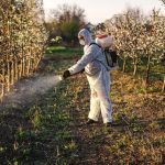 Die EU sagt, dass Pestizidgiganten gegen das Gesetz verstoßen haben, weil sie Studien zur Hirntoxizität zurückgehalten haben