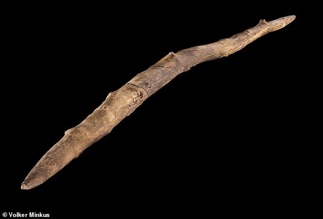 Laut einer Studie jagten frühe Menschen Hirsche, indem sie einen doppelspitzen Stock wie einen Bumerang mindestens 30 Meter weit schleuderten