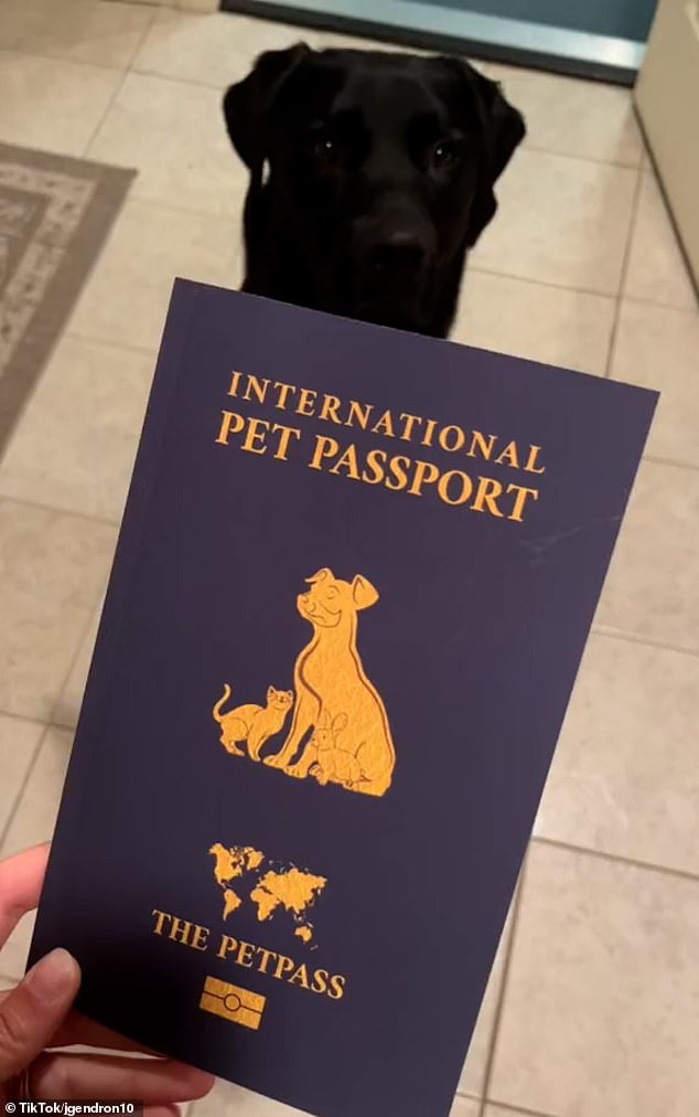In a video posted earlier this month, Jackie broke down the process for flying with dogs into four simple steps - all of which happen before you even go to the airport. She explained that to take a dog abroad, travellers need an international health certificate provided by their vet