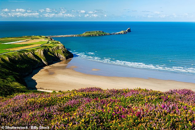 42. RHOSSILI BAY, GOWER PENINSULA, WALES: Big 7 Travel says that it takes a ‘bit of a hike down a steep cliff-top path’ to reach this beach, but once you make it there you can enjoy ‘three miles (5km) of golden sands’. The travel site adds: ‘It’s a popular surfing spot, or you can just relax and enjoy the beach – it’s kept pristine under the watchful eye of the National Trust’
