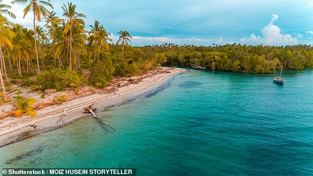 24. KANGA BEACH, MAFIA ISLAND, TANZANIA: Big 7 Travel reveals: ‘This sublimely serene beach boasts white sands, turquoise waters and sprawling tidal flats. Below the surface, it’s just as dreamy with its unique coral grove, mangrove and marine channel ecosystems teeming with fish, including whale sharks’