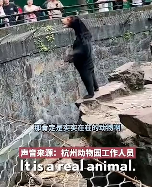 The zoo in China said despite the odd looking fur and legs, 'it is a real animal'