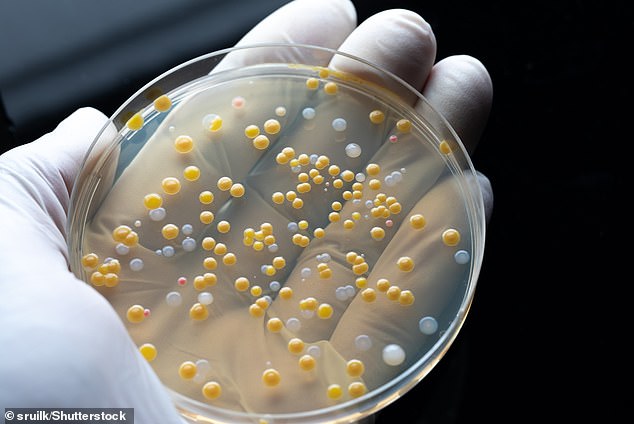 WHO has declared antimicrobial resistance as one of the top 10 global public health threats against humanity, while one expert has called the threat of AMR as severe as terrorism (file photo)