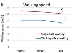 Walking speed also was diminished by texting, based on their research (graph B, above)