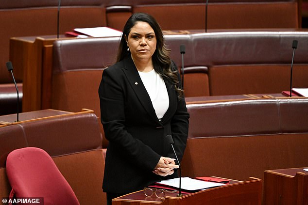 Senator Nampijinpa Price - who is a leading 'No' advocate of the Voice to Parliament - revealed on Sky News on Tuesday night that her office received confirmation the document is 26 pages long