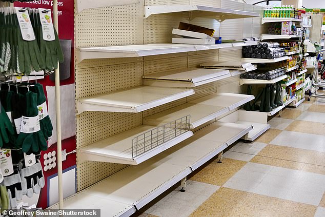 The GMB union said the collapse was 'entirely avoidable'. Pictured: Wilko in Didcot with empty shelves