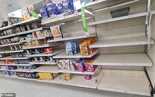 Shoppers and people who worked at Wilko said shelves were often empty since it reopened after lockdown