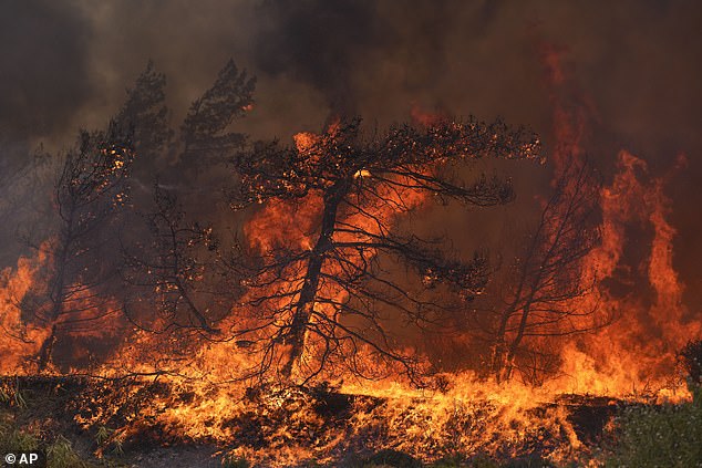 Tui war gezwungen, Millionen auszugeben, um bei der Evakuierung seiner Kunden zu helfen, nachdem Waldbrände Rhodos verwüstet hatten (im Bild ist ein Feuer auf der Insel zu sehen).