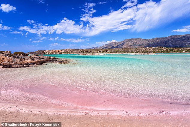 Above is a stock photo of Elafonissi Beach, a beach in southwest Crete that's famous for its pastel-pink sands
