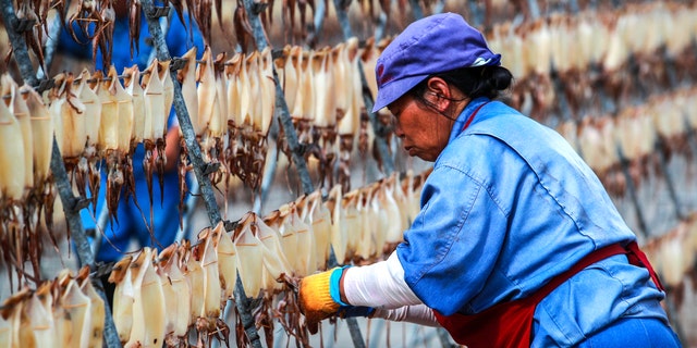 Arbeiter trocknet Tintenfisch in Lebensmittelfabrik in China