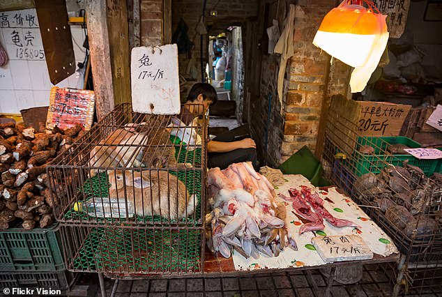 Lebende und tote Kaninchen zum Verkauf auf einem Markt in China im Jahr 2020. Im Rahmen von Experimenten zwischen 2015 und 2018 sammelten Forscher Vogelgrippeviren auf Chinas Feuchtmärkten und injizierten sie Meerschweinchen, Mäusen, Hühnern und Enten