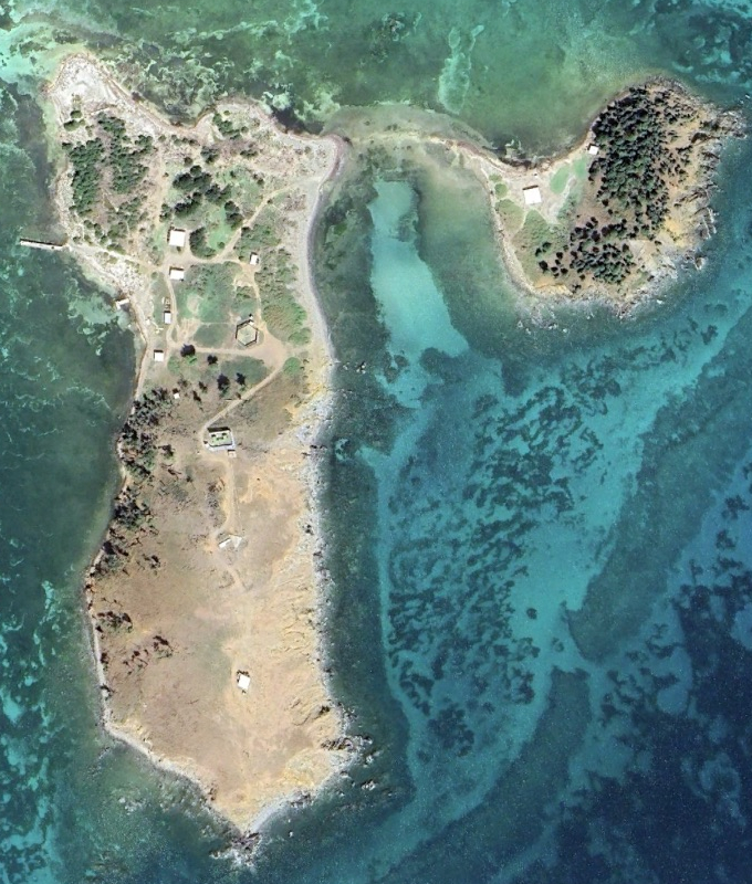 A satellite photo of Cayo Santiago seen after Hurricane Maria with a distinct lack of trees and other forms of shade to assist macaques.