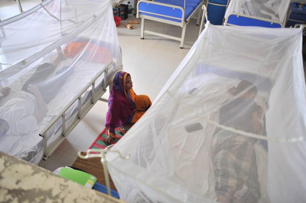 Amerikaner haben sich traditionell mit Dengue-Fieber infiziert, wenn sie ins Ausland an Orte reisten, an denen es weit verbreitet ist, wie zum Beispiel Bangladesch, das seinen eigenen Ausbruch des Virus bekämpft.
