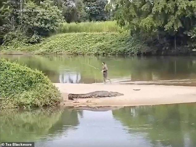 In einem zweiten Clip ist zu sehen, wie der unbeeindruckte Fischer den Uferrand verlässt und lässig am Krokodil vorbeigeht (im Bild).
