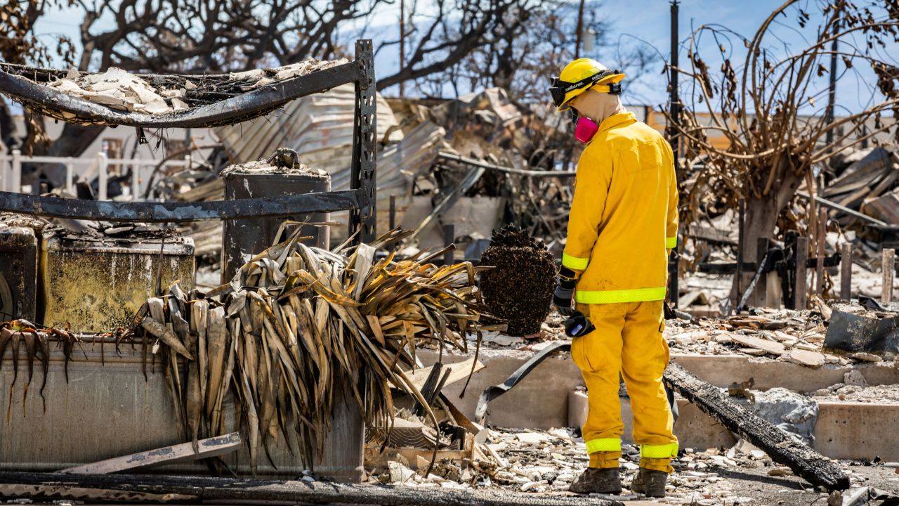Ein Mitglied der Such-, Rettungs- und Bergungsmannschaft bearbeitet am Dienstag in Lahaina einen Ort der Zerstörung.