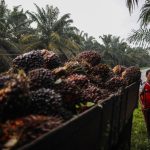 Die EU leitet Ermittlungen zur Umgehung von Einfuhrzöllen für indonesischen Biodiesel ein