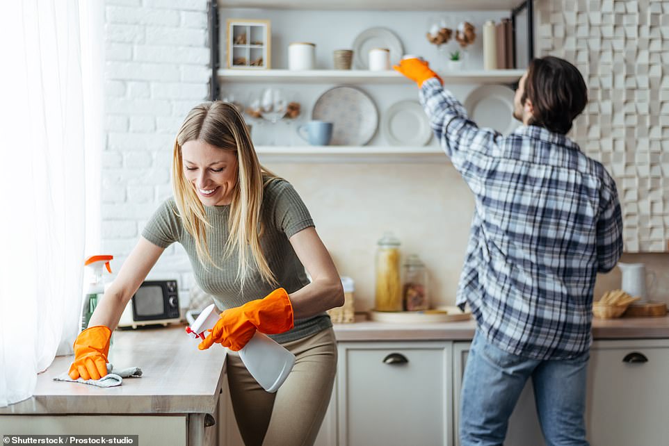 Germans were the only Europeans who said they would never offer to help with household chores when visiting a friend