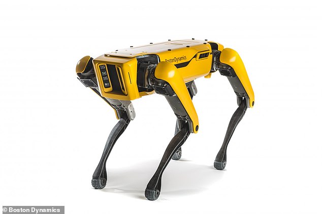 Mit seinen vier Beinen und seiner tierähnlichen Beweglichkeit ähnelt CyberDog 2 Spot (im Bild), dem hundeähnlichen Roboter des US-Unternehmens Boston Dynamics