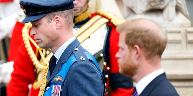 Prinz William im blauen Militäranzug schaut weg, während Prinz Harry ihn im Morgenanzug ansieht
