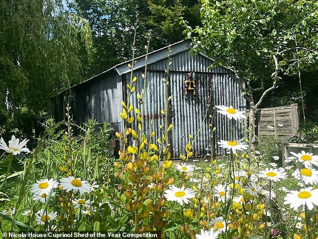 This shed in Kent is called Tin House's Tin Shed and it sits in a well designed garden under a willow tree