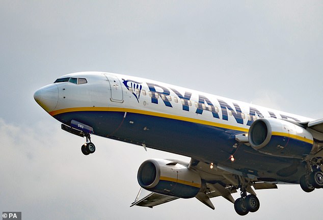 Ryanair has said passengers who book their flights agree to the terms and conditions