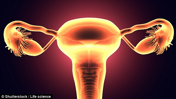 Das Rokitansky-Syndrom oder MRKH (Mayer Rokitansky Küster Hauser) ist eine angeborene Anomalie, die durch das Fehlen von Vagina, Gebärmutter und Gebärmutterhals gekennzeichnet ist