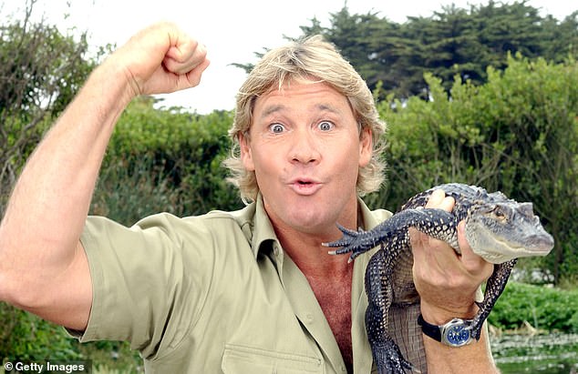 Der Vorfall erinnerte an den schockierenden und tragischen Tod von Steve Irwin, dem Krokodiljäger im Fernsehen
