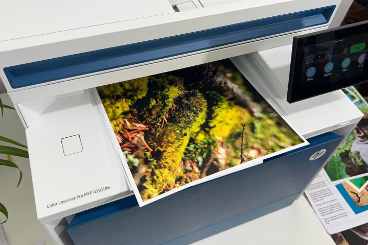 Der Color LaserJet Pro 4301fdw bietet eine hervorragende Fotodruckqualität auf Hochglanzpapier.
