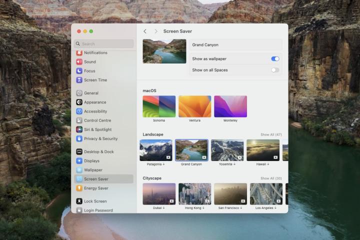 Die Systemeinstellungen-App in macOS Sonoma mit geöffnetem Untermenü „Bildschirmschoner“, in dem ein Benutzer einen Video-Bildschirmschoner auswählen kann.