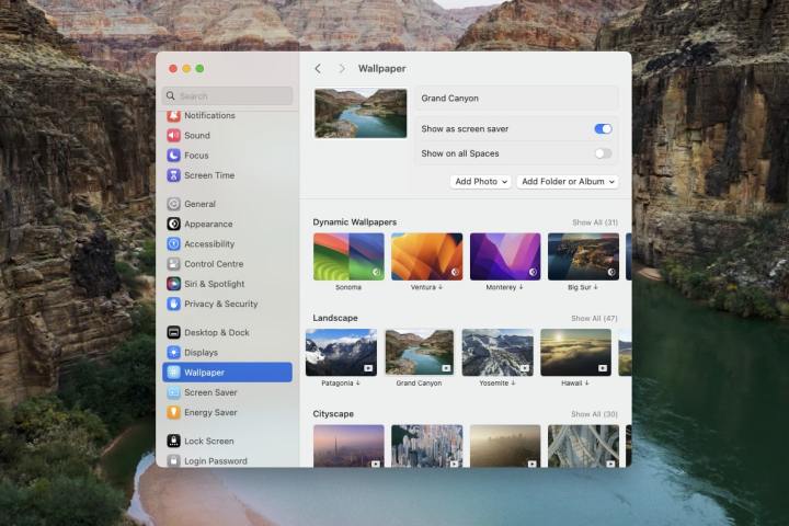 Die Systemeinstellungen-App in macOS Sonoma mit geöffnetem Untermenü „Hintergrund“, in dem ein Benutzer einen Desktop-Hintergrund aus einem Video-Bildschirmschoner auswählen kann.