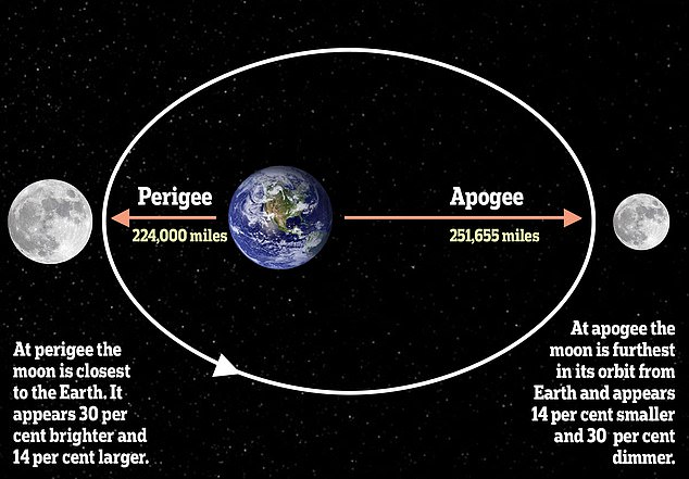 Ein Supermond entsteht, wenn ein Vollmond fast mit seinem Perigäum zusammenfällt – dem Punkt in der Umlaufbahn des Mondes, an dem er der Erde am nächsten ist
