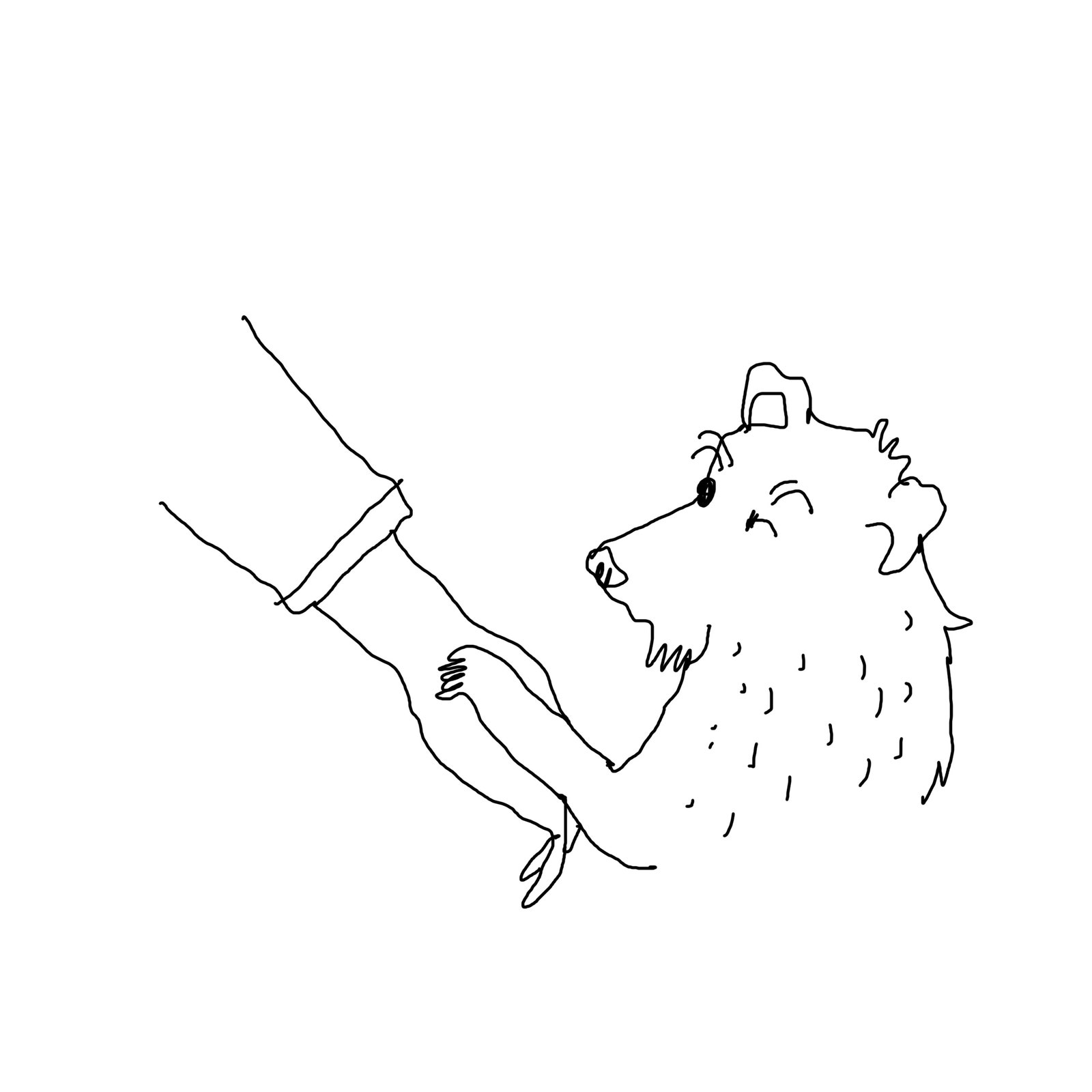 Hund berührt Hand mit seiner Pfote.