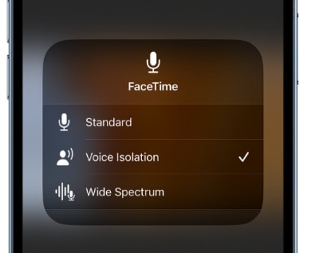 Die Funktion ist für FaceTime verfügbar, das auch Wide Spectrum bietet, das die Geräusche um Sie herum verstärkt, ohne Ihre Stimme zu beeinträchtigen, was jedoch die Qualität und Klarheit der Agenten beeinträchtigt