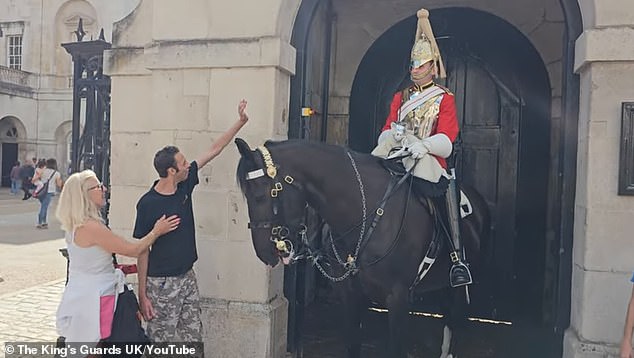 In dem Clip ist der herzerwärmende Moment zu sehen, wie der Mann das Pferd streicheln wollte, als der Soldat näher kam, damit er ein Foto machen konnte