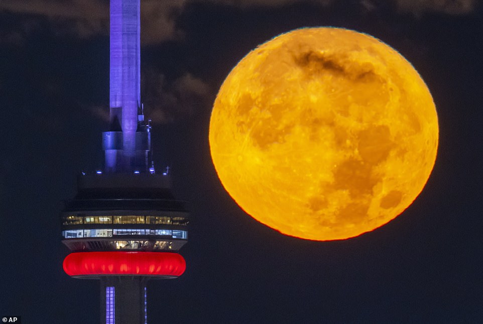 KANADA: Der Super Blue Moon im August geht hinter dem CN Tower in Toronto unter