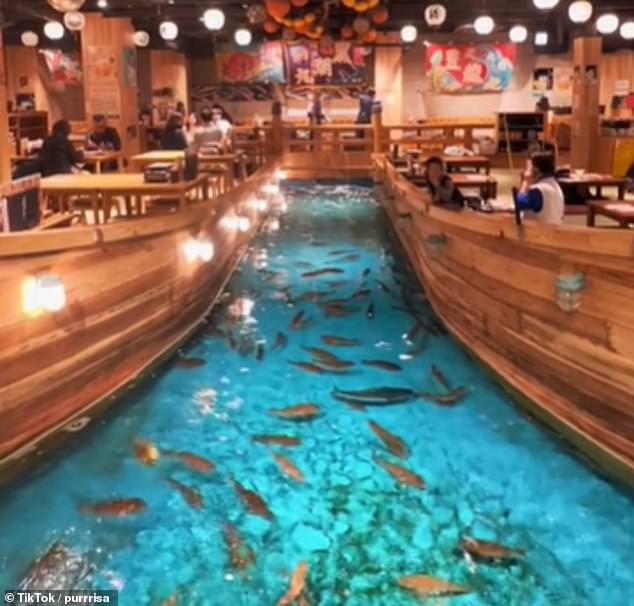 TikT­­­­­okers have captured footage of highly novel restaurants in Japan where diners can catch their own fish for dinner, such as Jumbo-tsuribune Tsurikichi in Osaka (above)
