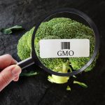Europäisches Patentamt: Gentechnisch veränderte Pflanzen werden nach den GVO-Regeln patentiert
