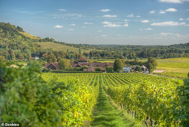 Denbies Wine Estate, pictured here, is just a 10-minute walk from Dorking station in Surrey