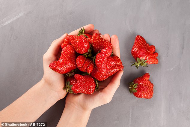 Laut S&A Group, Großbritanniens größtem unabhängigen Lieferanten, sind die Erdbeeren von 13,6 g im Jahr 2011 auf 21,5 g in diesem Jahr gestiegen