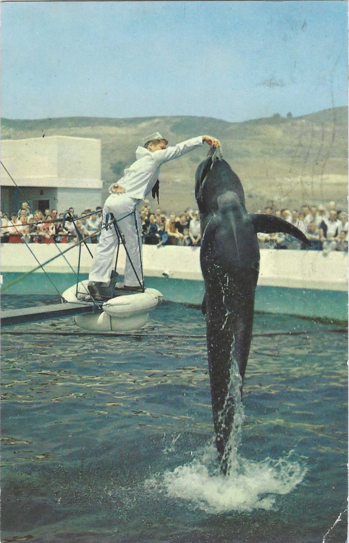 Ein Mann im Matrosenkostüm hält einem Wal, der aus einem Panzer springt, Futter hin