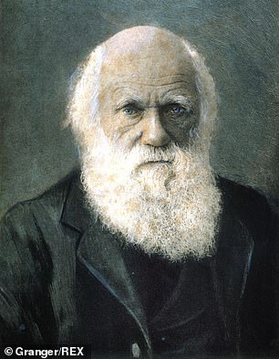Ehrfurcht gebietend: Charles Darwins Besuch auf den Galapagosinseln im Jahr 1835 inspirierte ihn zu seiner Evolutionstheorie