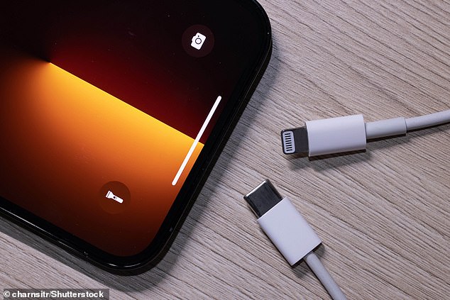 iPhones verwenden derzeit Apples proprietäre Stromanschlusstechnologie „Lightning“ (oben rechts), erkennbar an den acht Pins.  Doch Apple muss sich an ein neues EU-Gesetz halten, das USB-C (unten rechts) zum EU-Standard macht.  Das bedeutet, dass iPhones, die in EU-Ländern verkauft werden, mit USB-C statt Lightning ausgestattet sein müssen