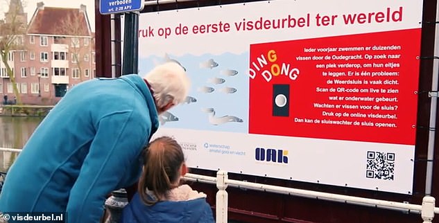 Ein Schild an der Weerdsluis-Schleuse informiert über die Initiative.  Die Einführung der Fischtürklingel bedeutet, dass Fische weniger anfällig dafür sind, von Reihern und Kormoranen gefressen zu werden