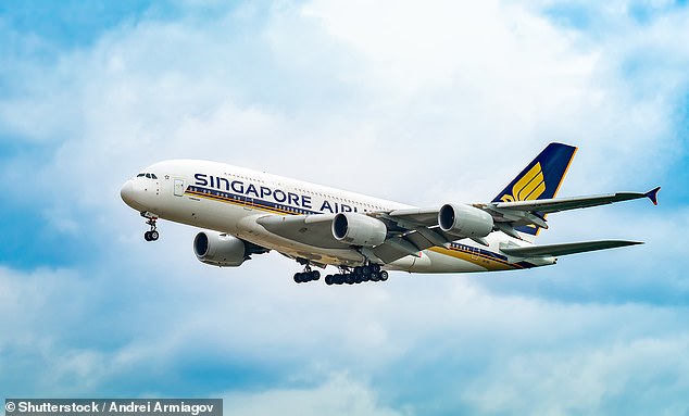 Das Ehepaar Wellington befand sich auf einem Flug der Singapore Airlines von Paris nach Singapur auf dem Heimweg nach Neuseeland