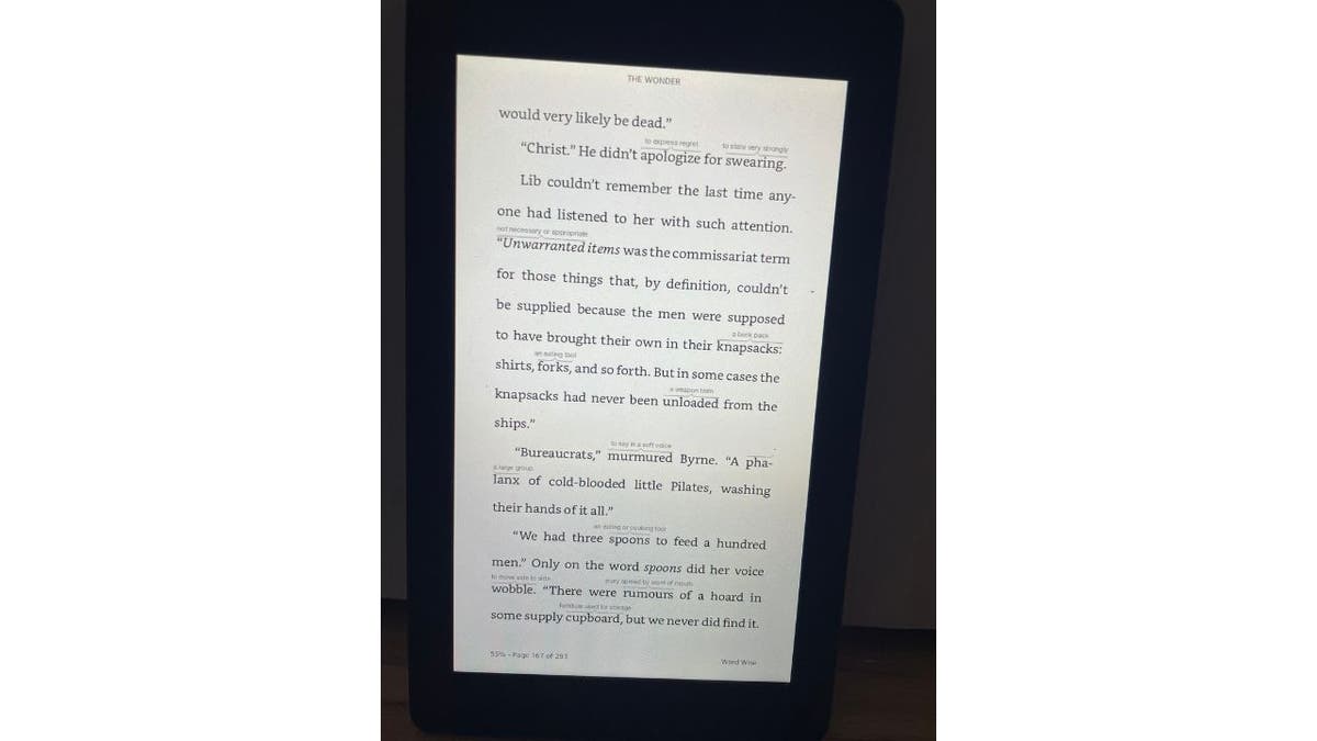 Bild eines Textes aus einem Buch auf einem Amazon Kindle