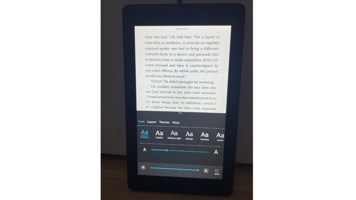 Bild einer Passage aus einem Buch auf Amazon Kindle, um die Schriftgröße anzuzeigen