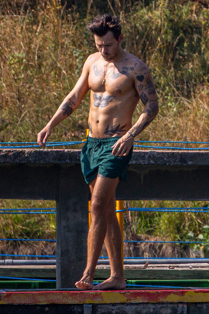 Harry Styles zeigt beim Schwimmen im britischen Ententeich seine lächerlich straffen Bauchmuskeln: Fotos