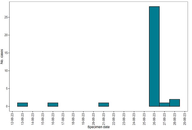 Diese UKHSA-Grafik zeigt die Anzahl der Pirola-Fälle nach dem Datum, an dem der Test mit der infizierten Probe eingegangen ist. Die Fälle stiegen am 26. August kurz nach Beginn des Pflegeheim-Ausbruchs stark an